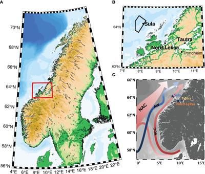 Water mass characteristics and hydrodynamics at an inshore versus an offshore mid-Norwegian cold-water coral reef habitat